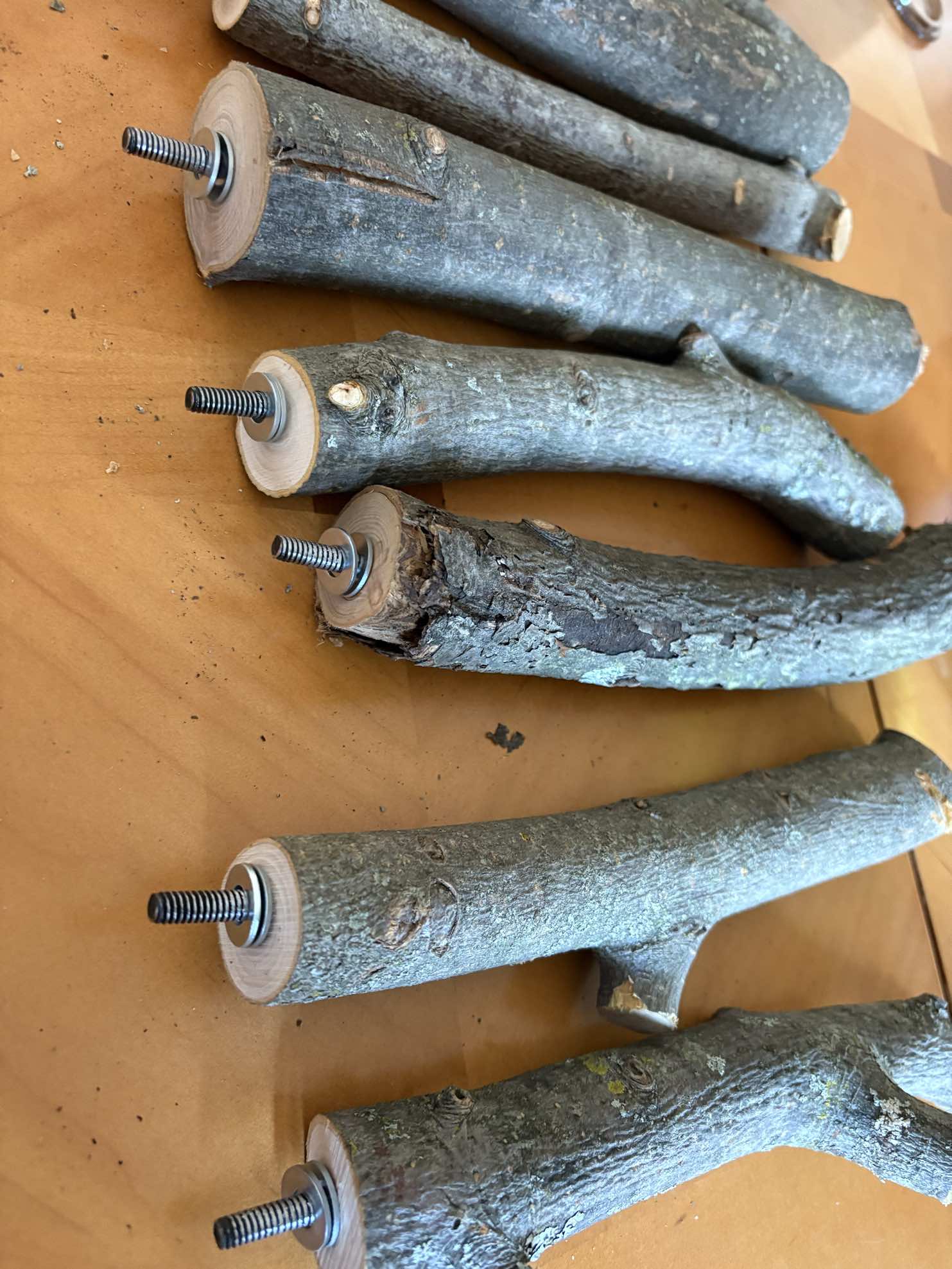 Large Apple Wood Perch - Forked