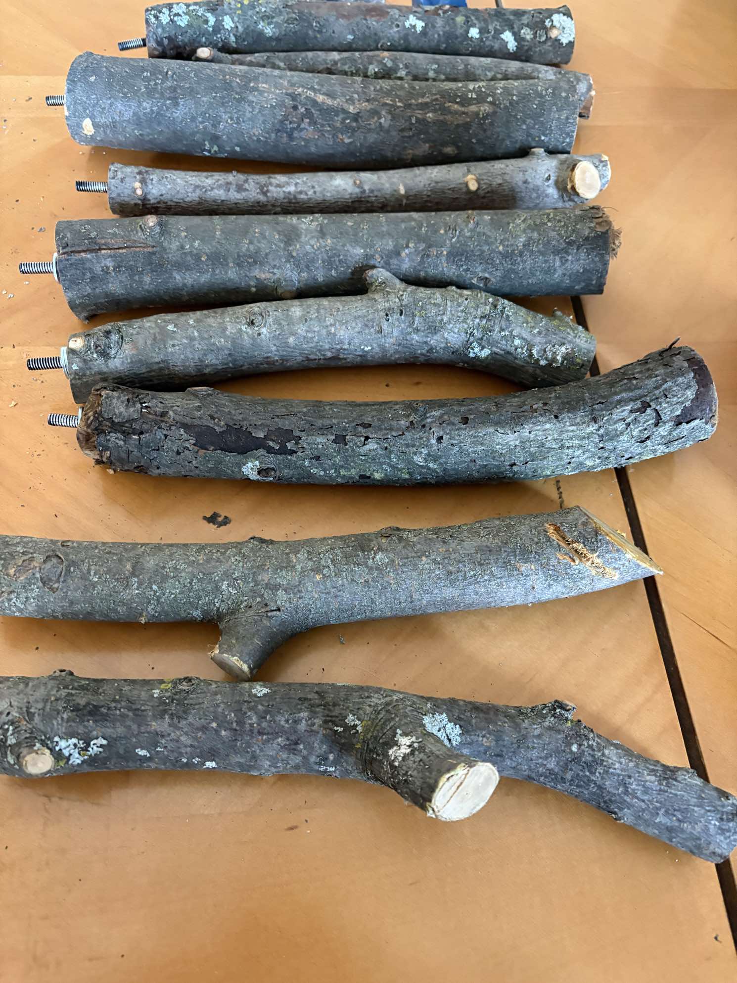 Small Apple Wood Perch